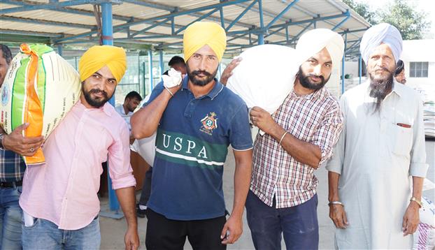 Karnal wheat institute commences seed distribution to Punjab farmers