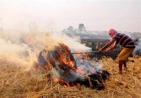 9 per cent rise in farm fires in Punjab during Sept 15-Oct 26 period compared to last year: CAQM