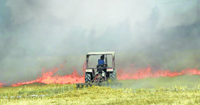 Punjab agriculture officials feel the heat of stubble-burning, 4 suspended