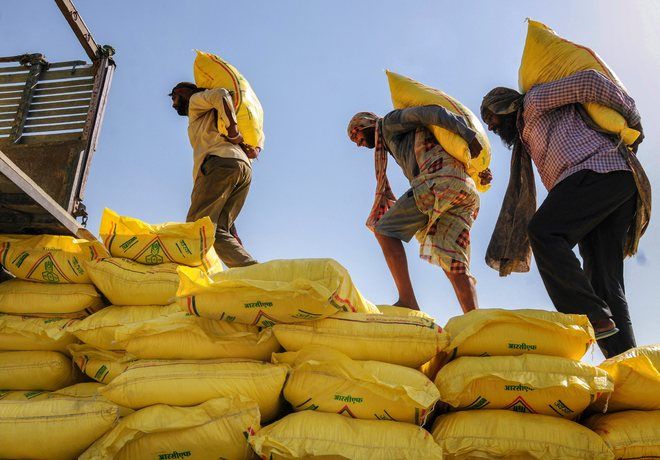 Sowing begins amid DAP shortage in Punjab