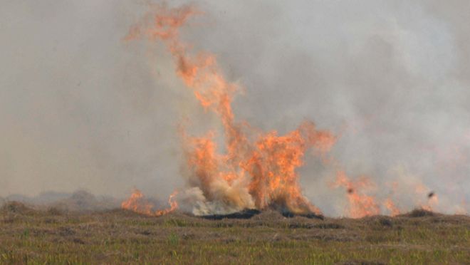 Plan chalked out to curb stubble burning in Kaithal