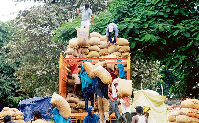 ‘Proxy’ procurement of paddy through fake gate passes in Karnal grain markets