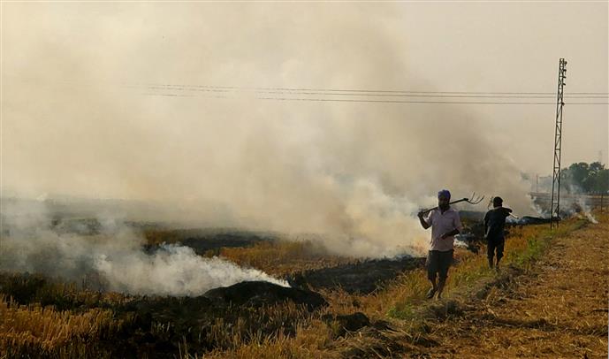 Punjab records 2,721 farm fires, least in 2 years