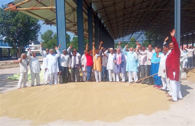 Govt stops procurement of bajra, farmers up in arms