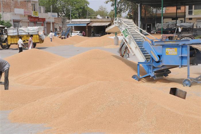Motorcycles ‘used’ for transporting wheat: Punjab Vigilance unearths scam in Ferozepur