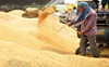 Punjab farmers forced to sell produce in Haryana: Raja Warring