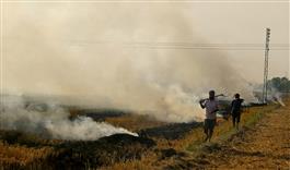 Punjab records 2,721 farm fires, least in 2 years