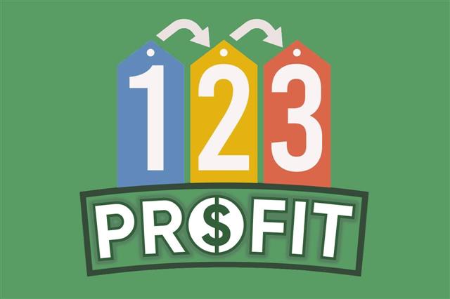 123 Profit Reviews (Steve Clayton & Aidan Booth) 8-Week Make Money Ecom Training Program : The Tribune India