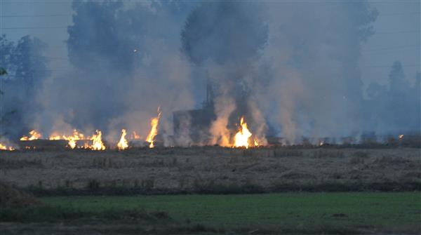 Kapurthala sees 1,275 farm fires, 20% fewer than last year’s figure, claims Deputy Commissioner