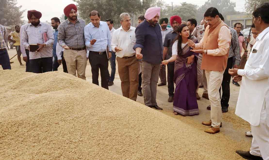 Principal Secretary visits Rajpura grain market, finds discrepancies