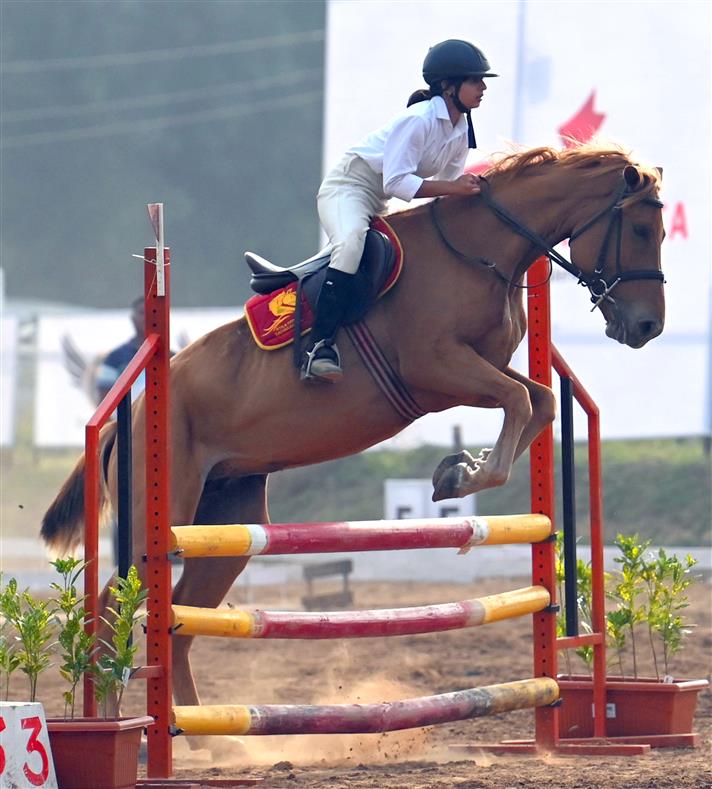 Horse show kicks off in New Chandigarh
