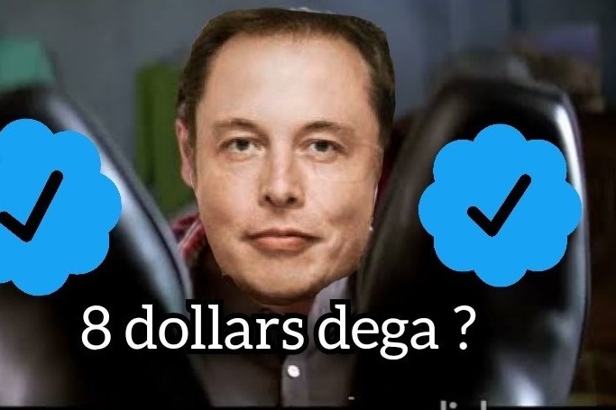 'Theek theek laga lo Elon bhai, Sarojini mei $2 mein mil jata hai': Musk's 'Blue tick' bargain for $8 triggers meme-fest on Twitter