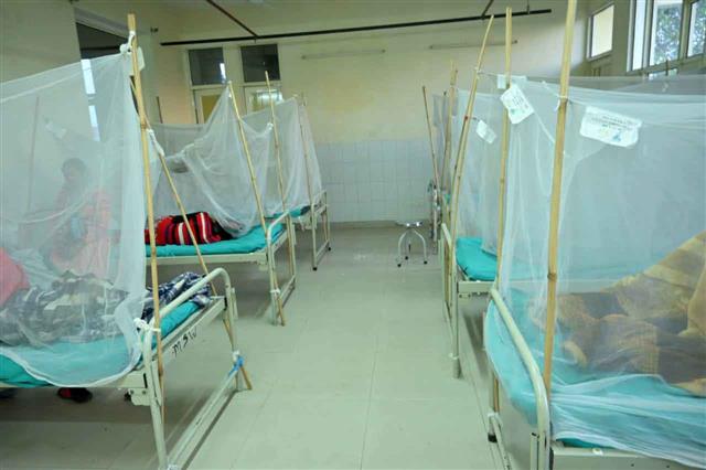 Punjab reports max chikungunya cases in 6 years, Mohali worst hit