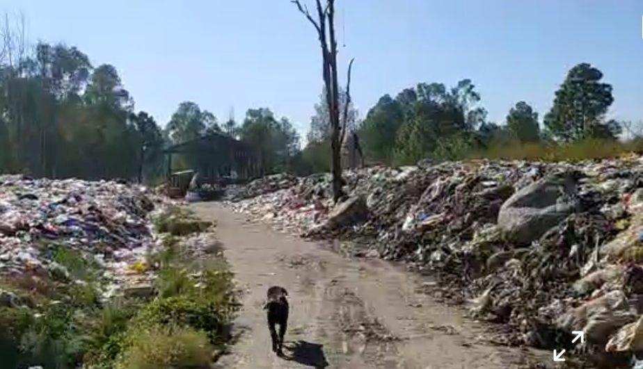 Despite ban, trash piles up along river banks in Himachal Pradesh