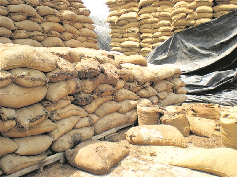 44,938 MT wheat rotting in the open, Haryana to recover cost from officials