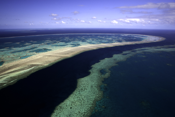 Scientists try to bolster Great Barrier Reef in warmer world