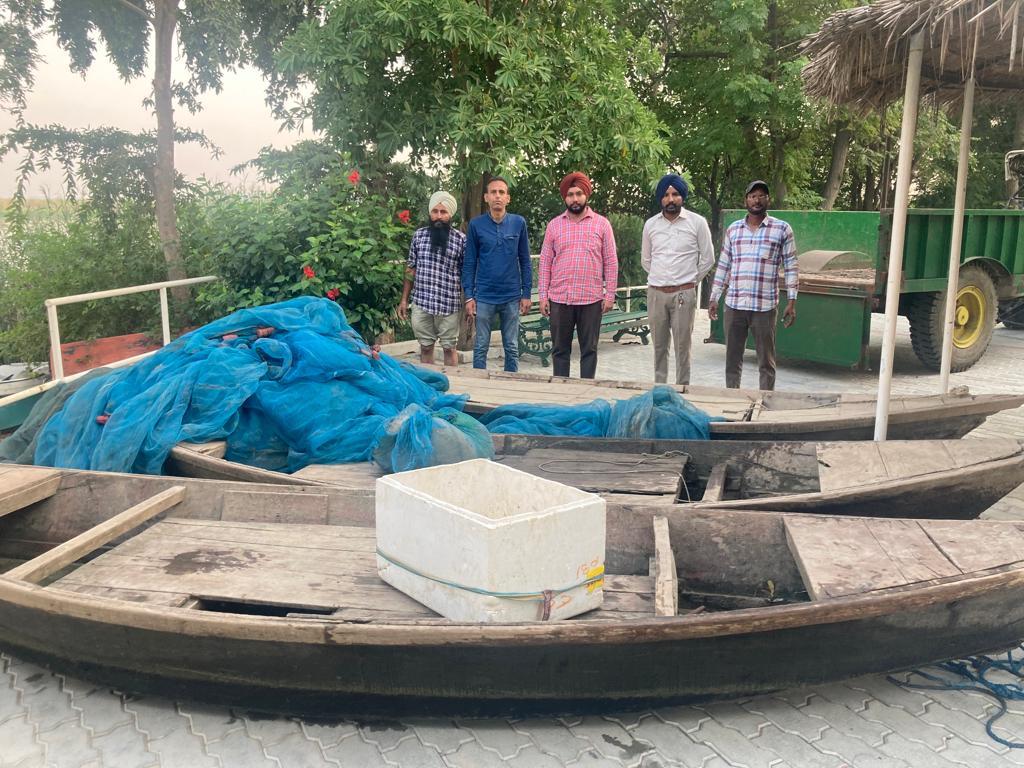 Illegal fishing goes unchecked at Harike bird sanctuary : The Tribune India
