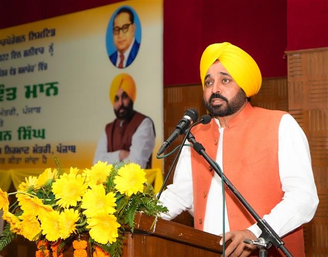 95% houses to get zero bill in next cycle: Punjab CM