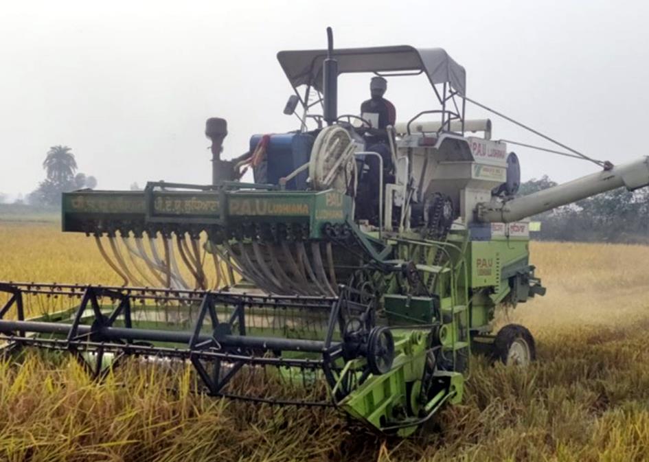 'Surface seeding of wheat' PAU answer to manage paddy stubble