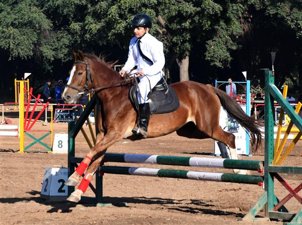 Equestrian League: PPS Nabha hogs the limelight