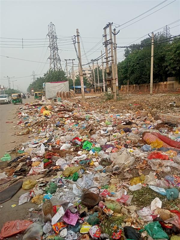 ULB seeks report on plastic ban from Faridabad civic authorities