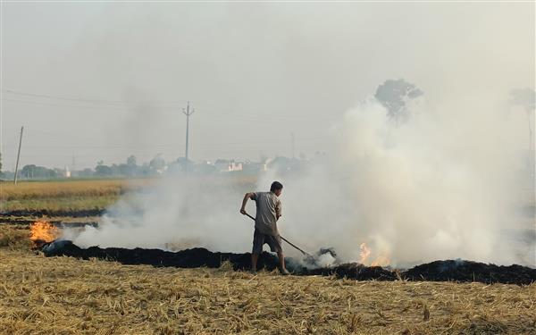 Jalandhar: Respiratory illnesses double as thick smog blankets region