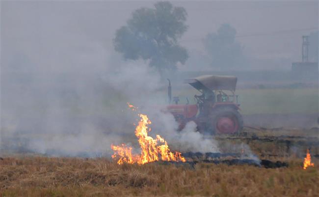 With 677 cases, Fatehabad tops in stubble-burning
