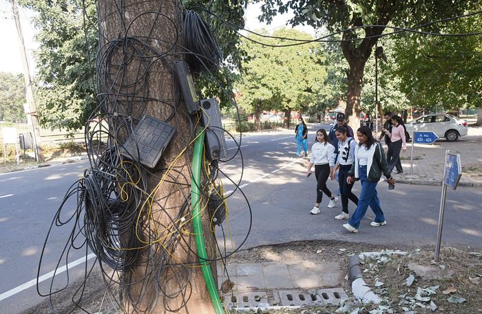 Rival councillors join hands against Chandigarh MC drive to remove hanging cables