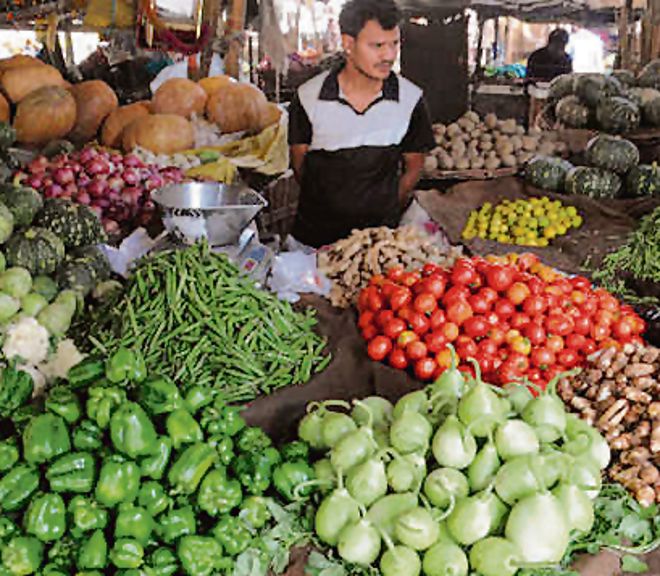 Wholesale price index drops to 19-month low of 8.39%