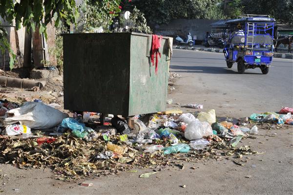 Amritsar: Absence of double dustbins a hindrance to segregation of waste