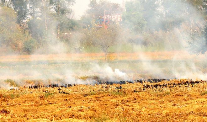 Stubble-burning cases dip by 68% in Karnal district