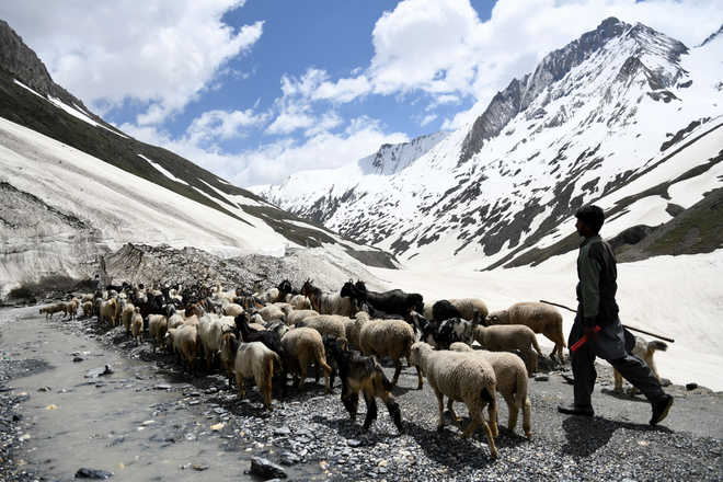 Ladakh's R-Day tableaux to showcase nomadic life