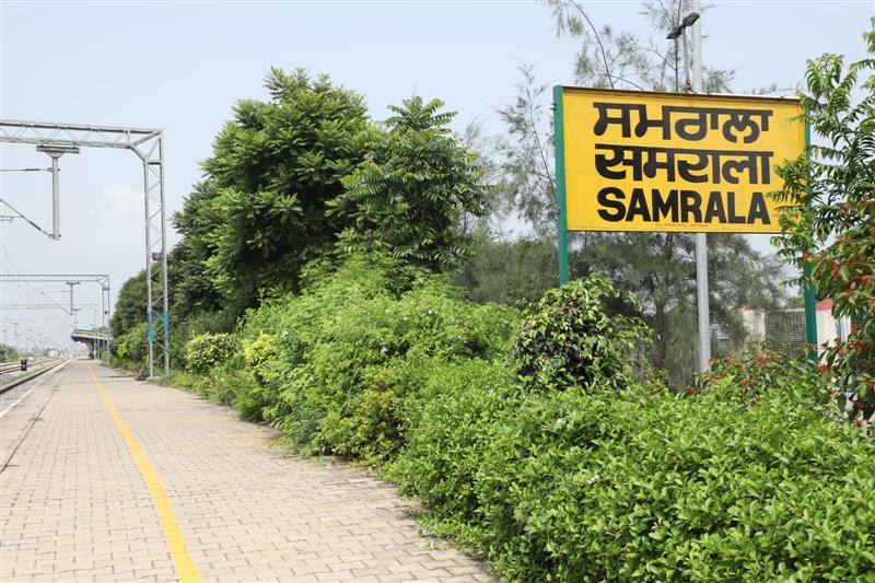 Green Mission: Samrala man Gurpreet Singh Bedi plants 1.15 lakh trees in 12 yrs