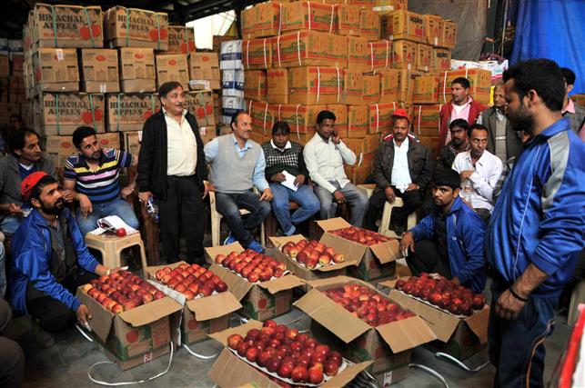 No takers for 6% GST rebate on apple cartons
