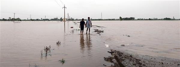 Ghaggar flooding: SC asks Punjab, Haryana to consider public interest before politics; says common man not interested in meetings