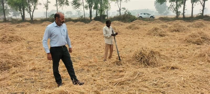 Stubble burning incidents down 55% than last year in Ludhiana district