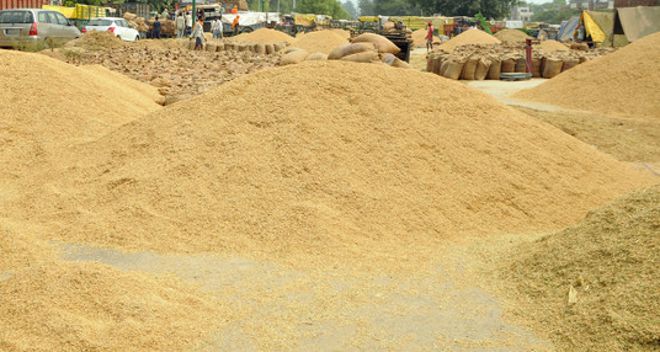 Private agencies, FCI stay away as paddy arrival comes to end in dist