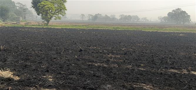 Why blame farmers only, industry too causing air pollution: Unions