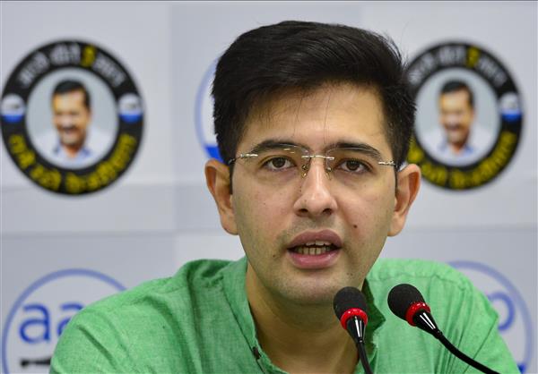 Plea against Raghav Chadha’s appointment: Advocate granted liberty to avail all remedies by High Court