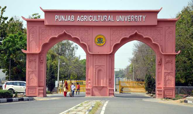 Punjab Agricultural University holds inter-college basketball tournament