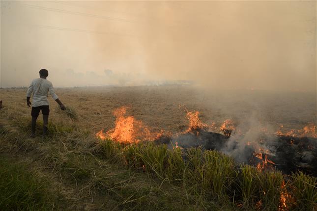 24,000 farm fires, but Punjab AQI 'moderate'