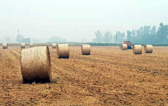 20% paddy straw as fuel: Brick-kiln owners question govt’s capability