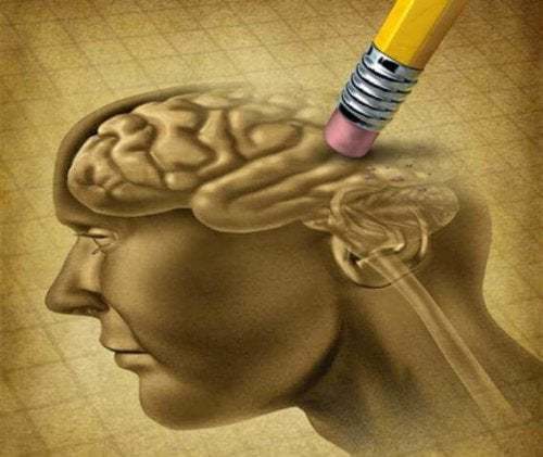 Study reveals why Alzheimer's disease destroys specific areas of brain