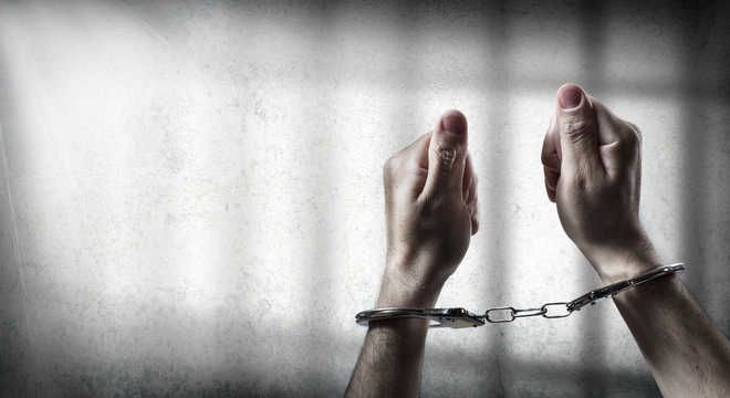 Pinjore man held for theft at house