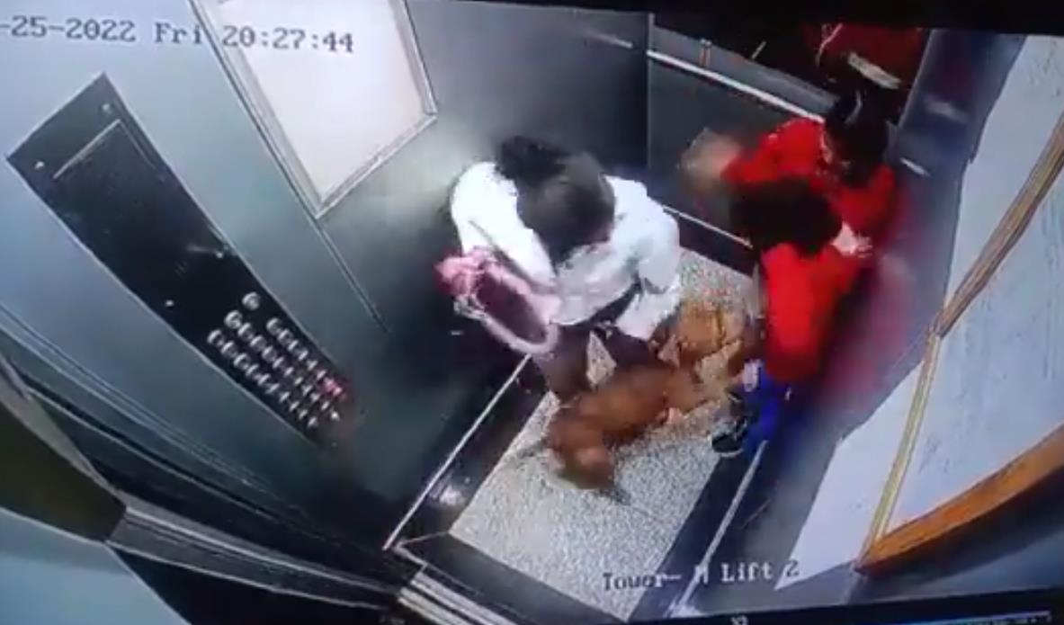 Noida: Pet dog attacks 2 children in lift, video surfaces