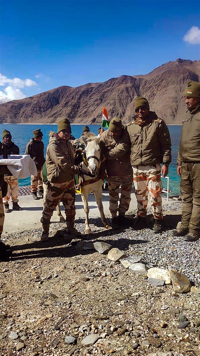 ITBP’s yak, pony get medals for carrying ration, ammo to LAC