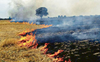 Can’t blame farmers for field fires, states responsible: NHRC