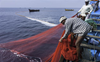 14 Indian fishermen arrested by Sri Lanka Navy