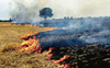 Stubble-burning continues