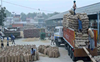 High global demand brings cheer to basmati farmers